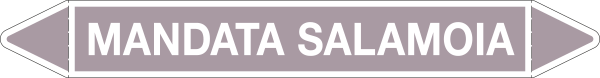 [99C930B] 99C930B - foglio da 5 etichette autoadesive con frecce+simboli MANDATA SALAMOIA