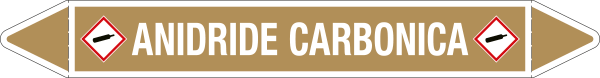 99A891B - foglio da 5 etichette autoadesive con frecce+simb ANIDRIDE CARBONICA