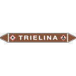 99C530A - foglio da 5 etichette autoadesive con frecce e simboli TRIELINA