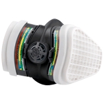 APS496