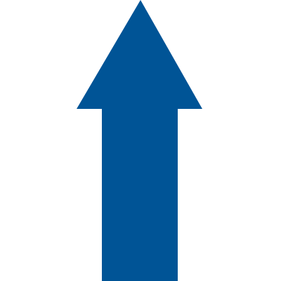 DMF10B - conf.20 frecce adesive SAFE IN in PVC dimensioni 100x65 mm colore BLU
