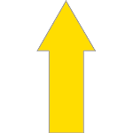 DMF10Y