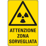 E1723X - Cartello pericolo attenzione zona sorveglianza EN ISO 7010