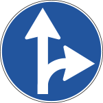 FLR240081B - Cartello NF 81b DIREZIONE CONSIGLIATA DIRITTO E DS