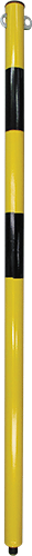PAS302
