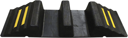 PGR110