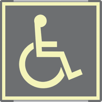 SEML15653GC - targa monofacciale fotoluminescente METAL Toilette disabili