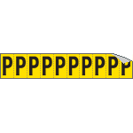 [904P] 904P